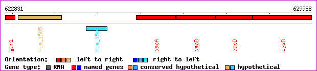 gene map