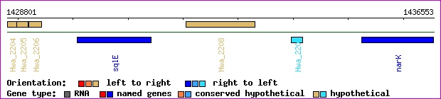 gene map