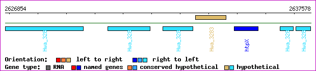 gene map