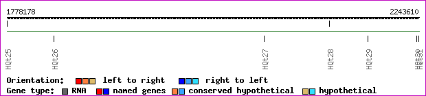 gene map