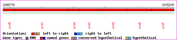 gene map
