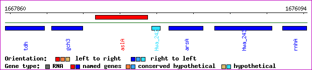gene map