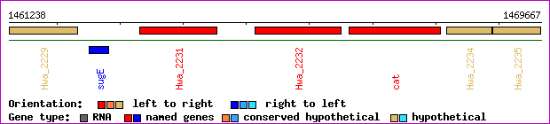 gene map