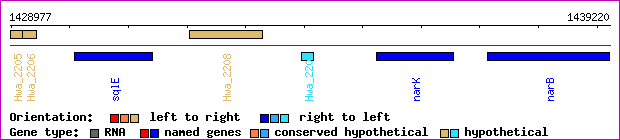 gene map