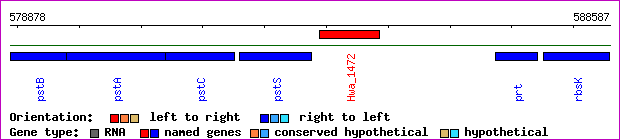 gene map
