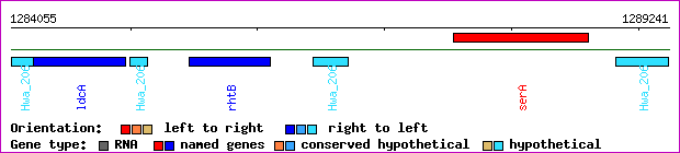 gene map