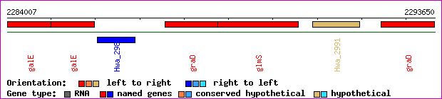 gene map