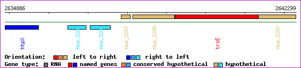 gene map