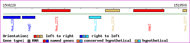 gene map