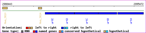 gene map