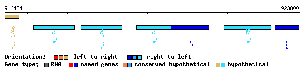 gene map