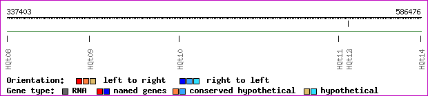 gene map