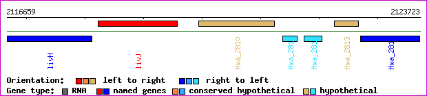 gene map