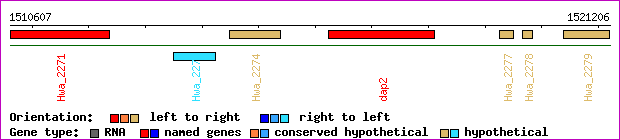 gene map