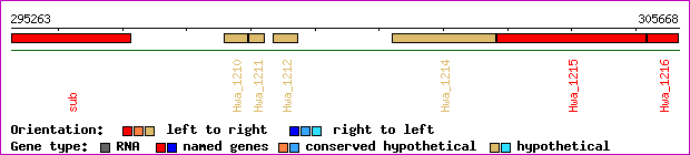 gene map