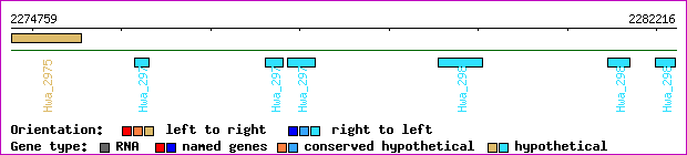 gene map