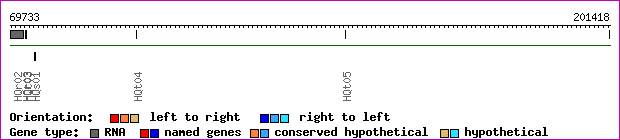 gene map
