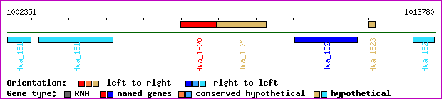 gene map