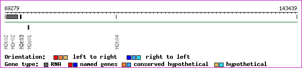 gene map