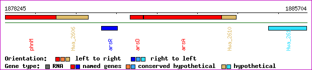gene map