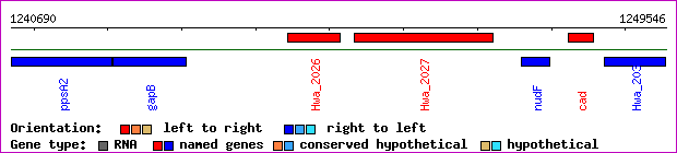 gene map