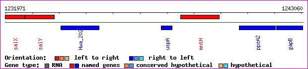 gene map