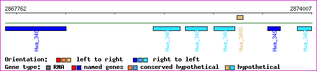 gene map