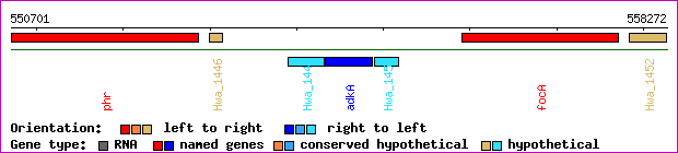 gene map