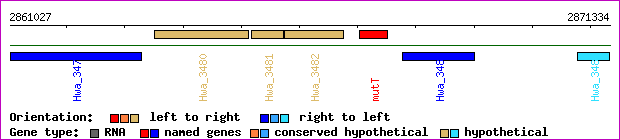 gene map