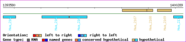 gene map