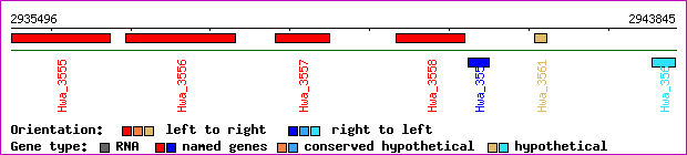 gene map