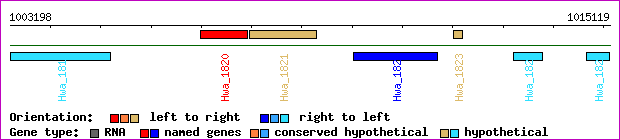 gene map