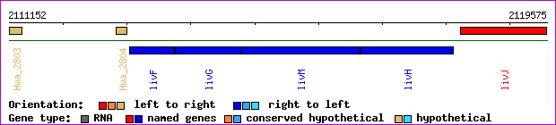 gene map