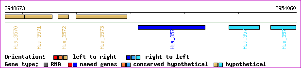 gene map