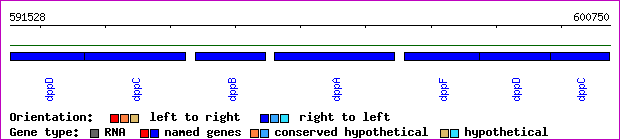 gene map