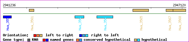 gene map