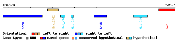 gene map