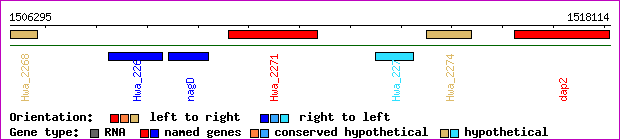 gene map