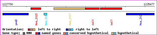 gene map