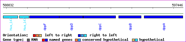gene map