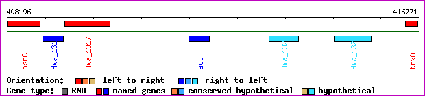 gene map