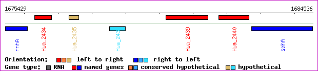gene map