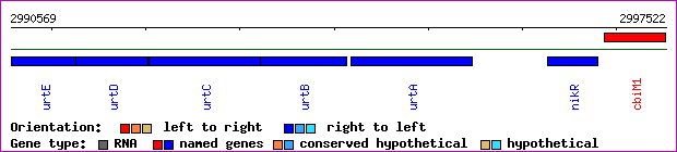 gene map