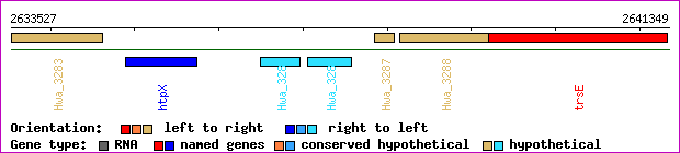gene map