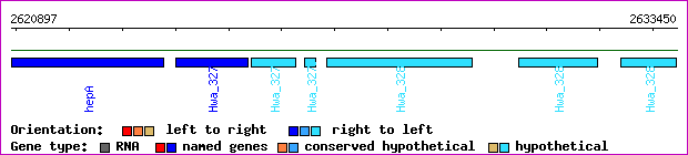 gene map