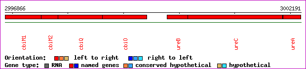 gene map