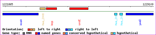 gene map