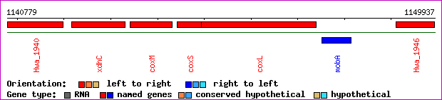 gene map