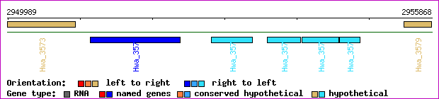 gene map
