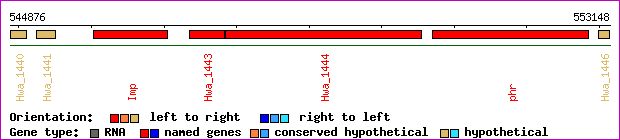 gene map